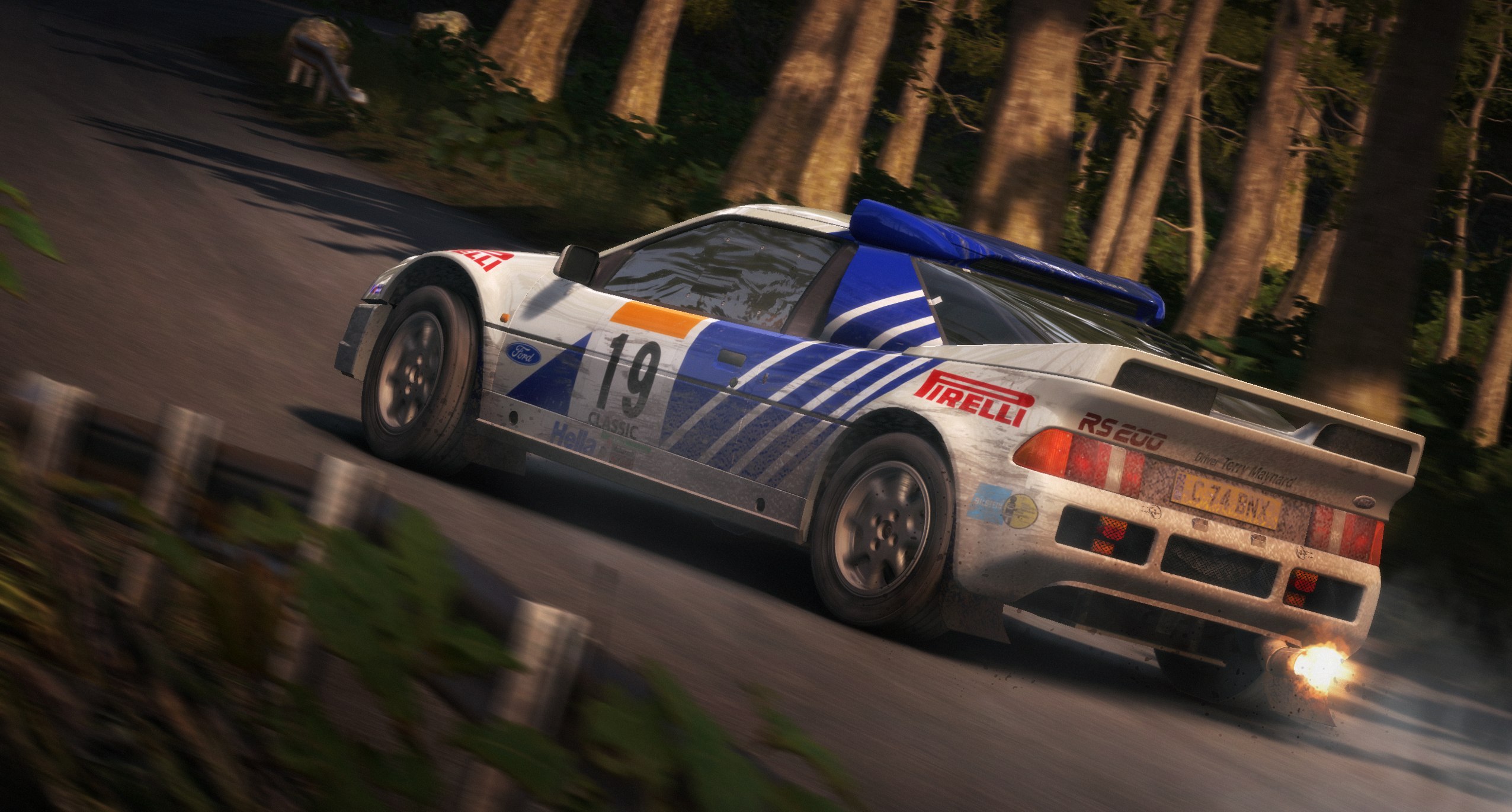 DiRT Rally - Imagen 15